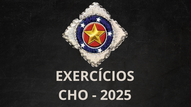 EXERCÍCIOS ONLINE - CHO 2025